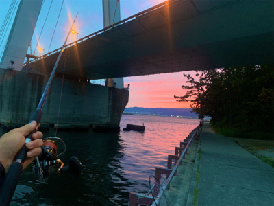 水面が騒がしくなる時にセイゴ釣れました。