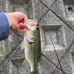 こんなにおるのに