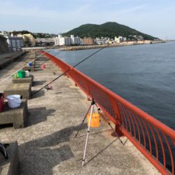 久しぶりの海釣り公園に来ました。