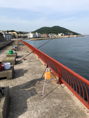 久しぶりの海釣り公園に来ました。