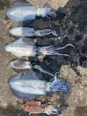 キロアップ入れ食い