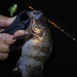 雨が、降る前に…