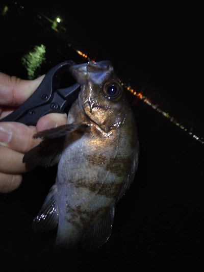 雨が、降る前に…
