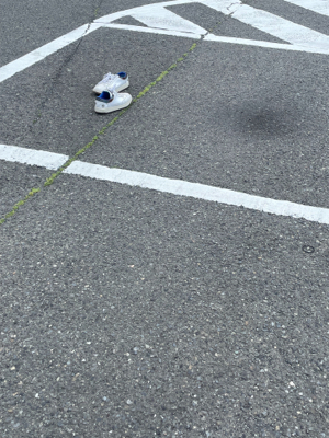 アオリ狙いも。