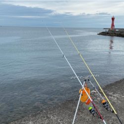 キス釣り、カサゴ釣り