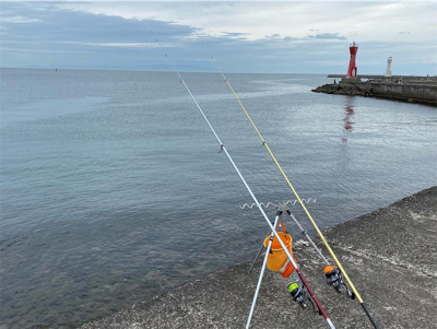 キス釣り、カサゴ釣り