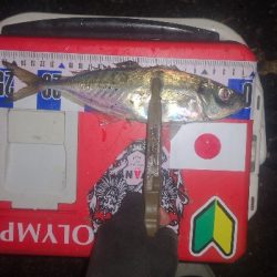 アジング練習　297