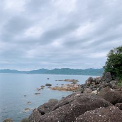 ロックフィッシュ