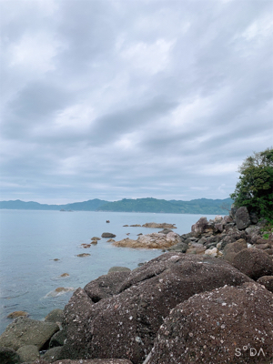 ロックフィッシュ