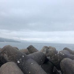 ベラは難しい？