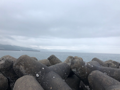 ベラは難しい？