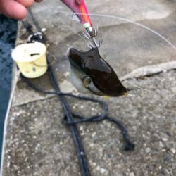 雨の止みまに。