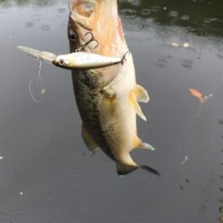 トップが熱かった！