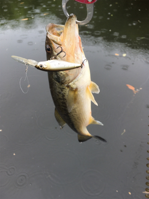 トップが熱かった！