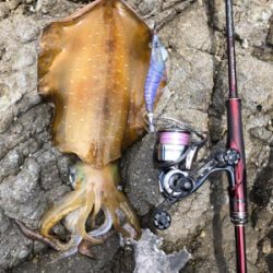 自分的に大漁(*゚∀゚*)