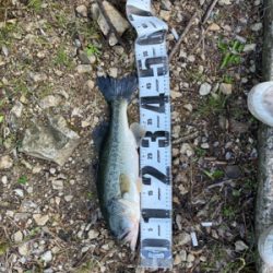 いつもの川にて