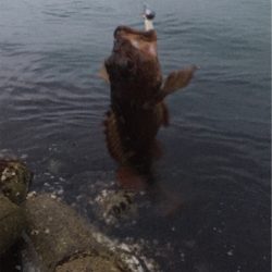 雨が降る前に(^^)
