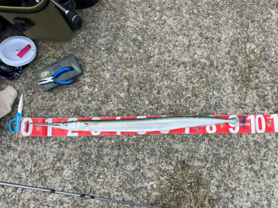 まさかの、、、