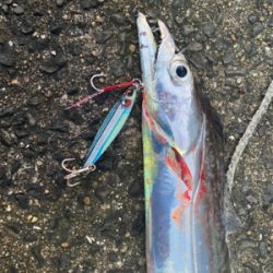 ベイトたっぷり