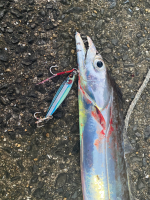 ベイトたっぷり