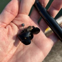 落とし込み釣り