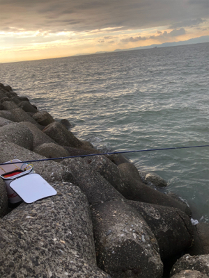 電気ウキで半夜釣り