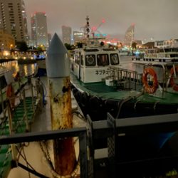 蚊との戦い、のちグレ、のちのち土砂降り