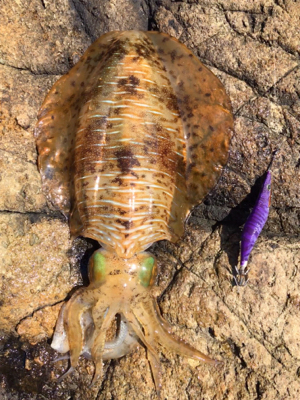 6時間やって当たり1回のみ…