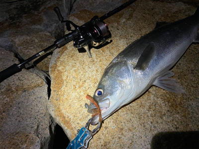 淀川ブリームゲーム