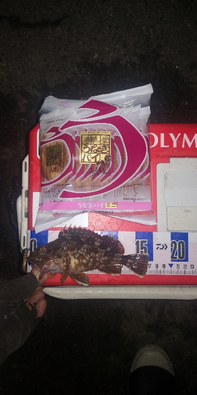 アジング練習 299