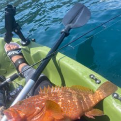 カヤックフィッシングにて！鷹島