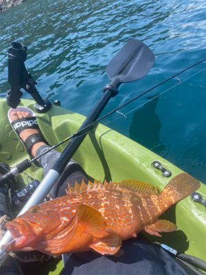 カヤックフィッシングにて！鷹島
