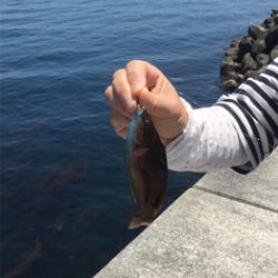 春昼間のライトゲーム❗️