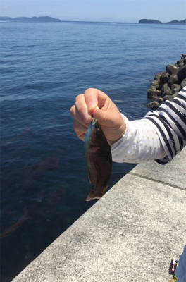 春昼間のライトゲーム❗️