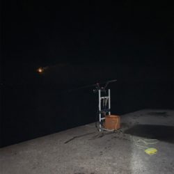 ヤエン釣り‼️