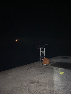 ヤエン釣り‼️