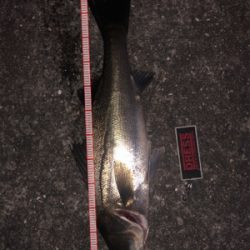 久しぶりの60up!