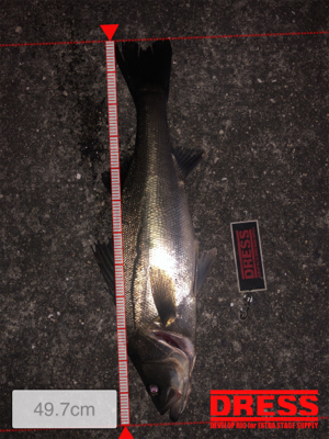 久しぶりの60up!