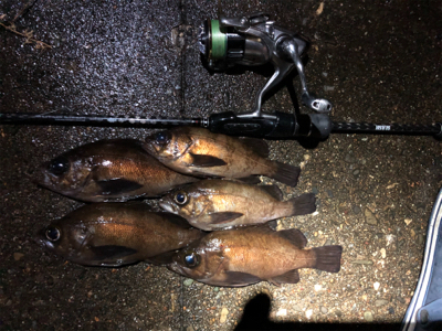 スーパームーンメバリング