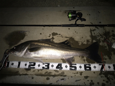 4ヶ月振りの70UP！