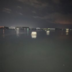 バチ抜け…チヌ