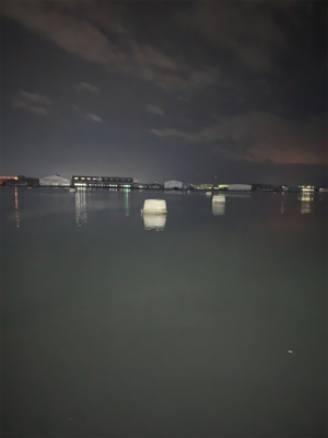 バチ抜け…チヌ