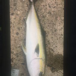 キスでも釣れないかな〜❗️