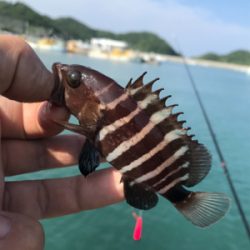 ちょい投げ自己記録!!