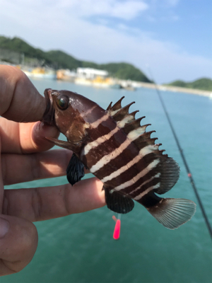 ちょい投げ自己記録!!