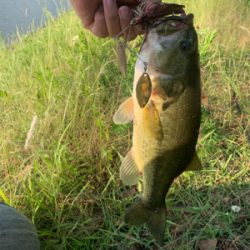 諦めかけた・・・その時に⁉️