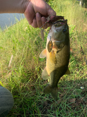 諦めかけた・・・その時に⁉️