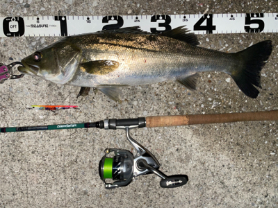 ビビッドスプラッシュで爆釣⁉…