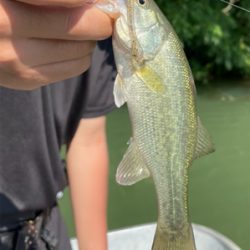 管理人のおじさん曰く厳しい1日