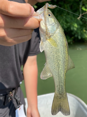 管理人のおじさん曰く厳しい1日